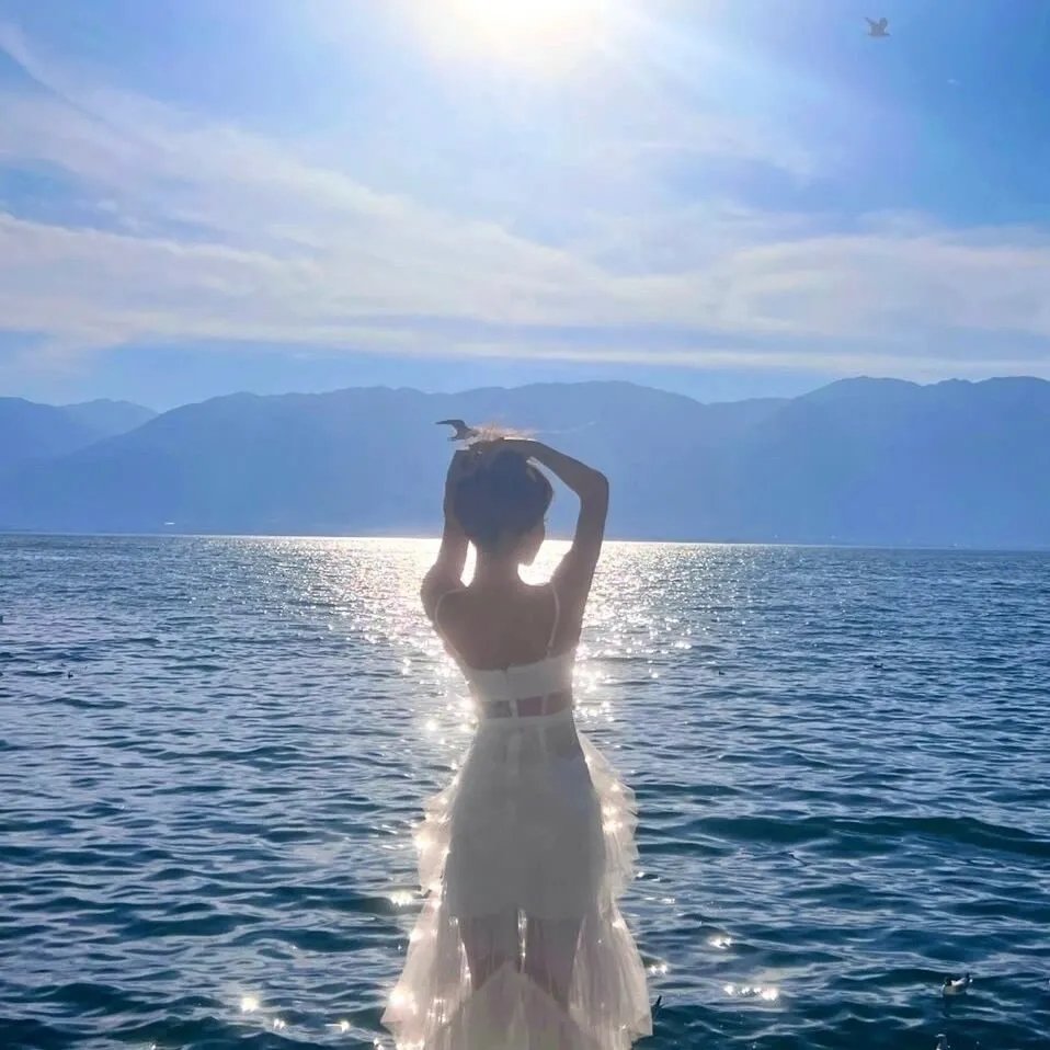 百慕大星际流浪者